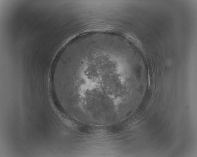 X0000074970483200609081415