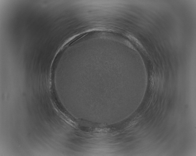 X0000074970484200609081415