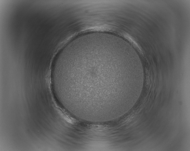 X0000074970486200609081415