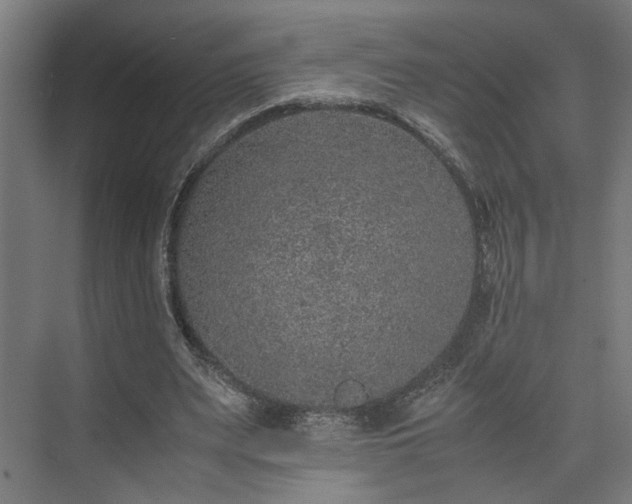 X0000074970487200609081415