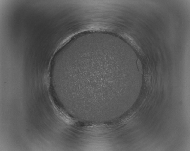 X0000074970488200609081415