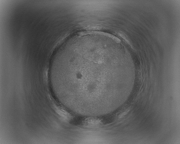 X0000074970491200609081415