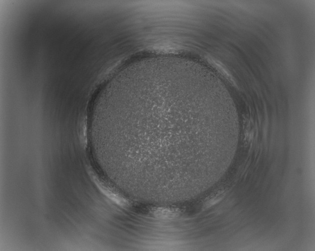 X0000074970494200609081415