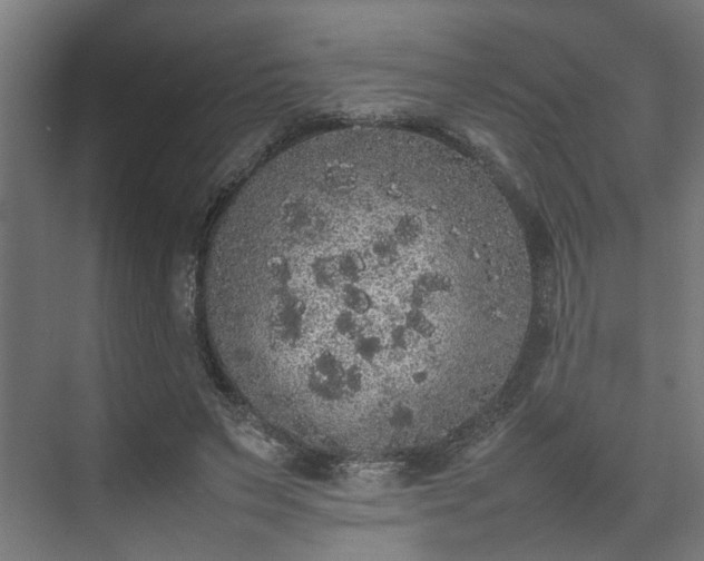 X0000074970495200609081415