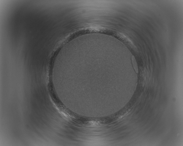 X0000074970496200609081415