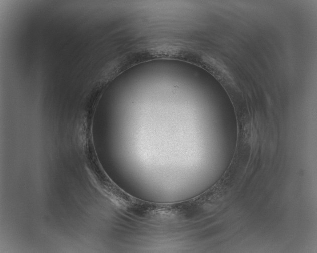 X0000074970498200609081415