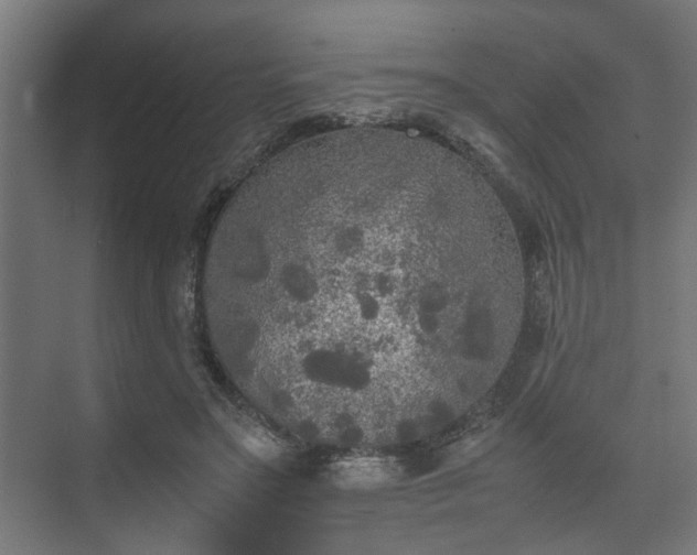 X0000074970499200609081415