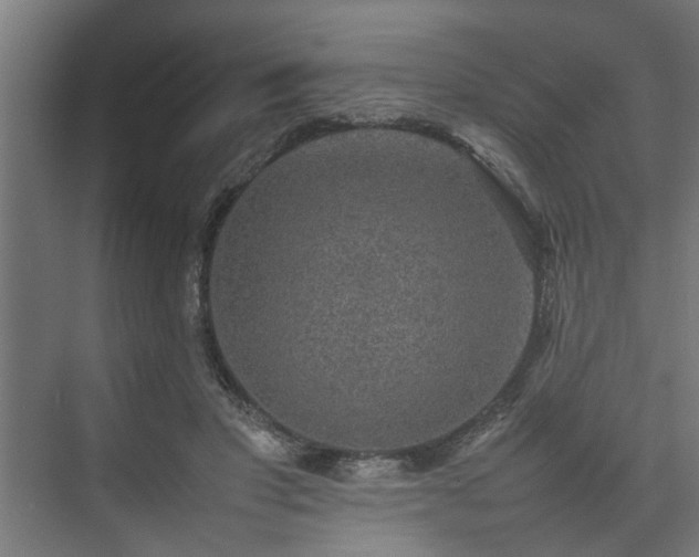 X0000074970501200609081415