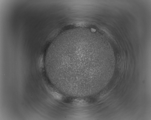 X0000074970502200609081415