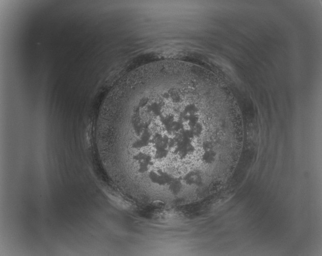 X0000074970503200609081415