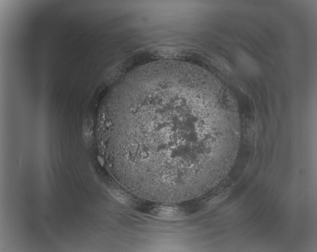 X0000074970507200609081415