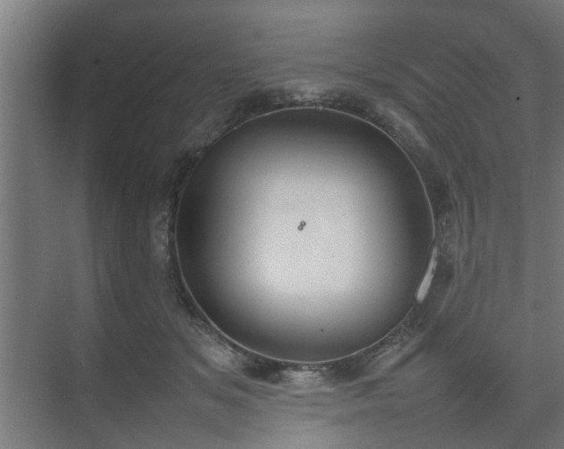 X0000074970509200609081415