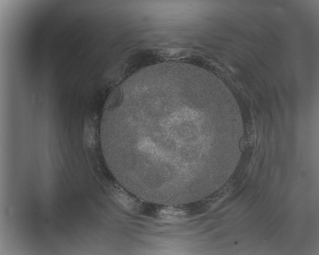 X0000074970515200609081415