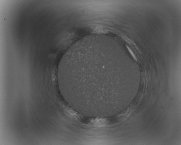 X0000074970517200609081415