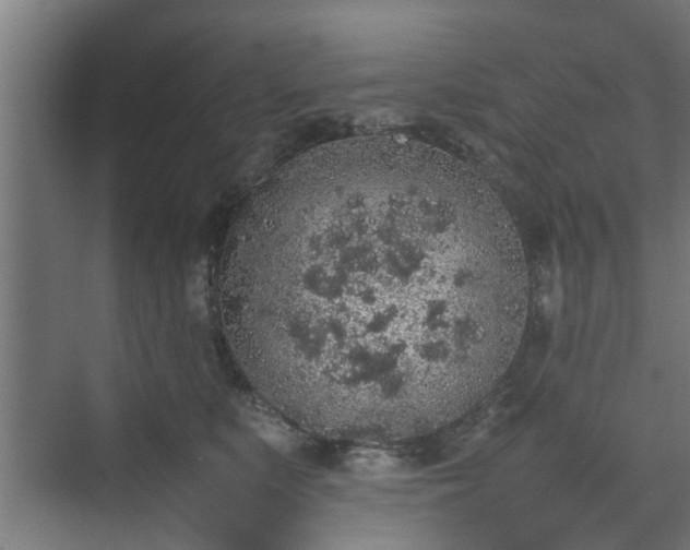 X0000074970519200609081415