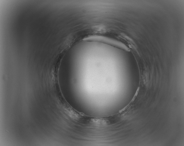 X0000074970520200609081415