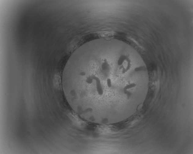 X0000074970523200609081415