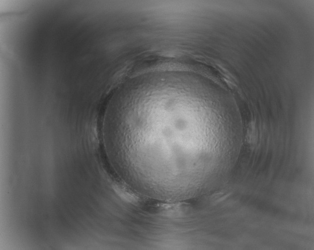 X0000074970524200609081415