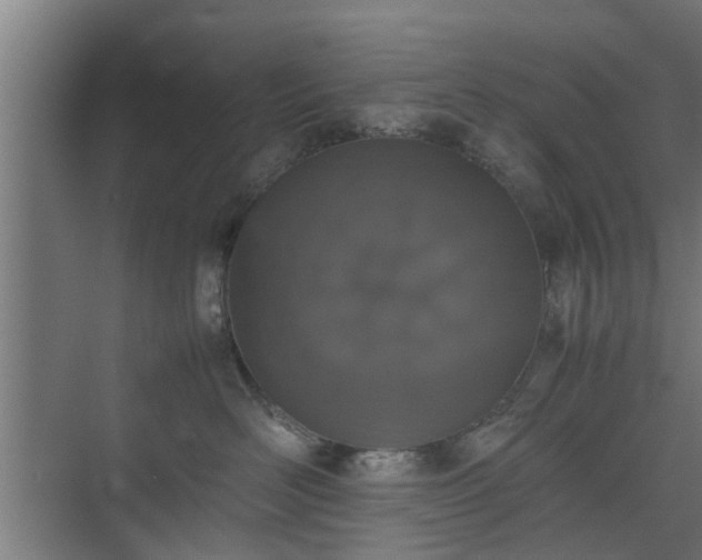 X0000074970526200609081414