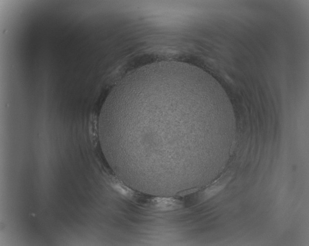 X0000074970528200609081414