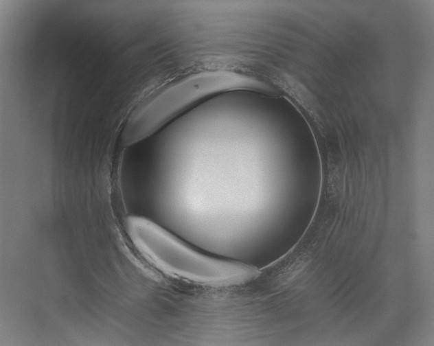 X0000074970530200609081414