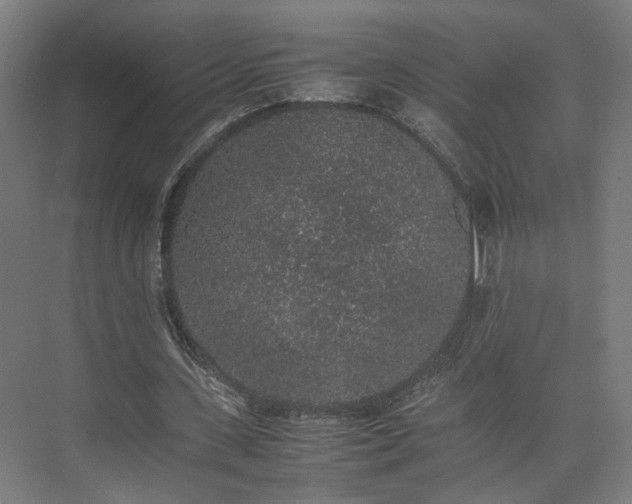 X0000074970531200609081414