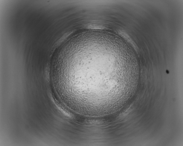 X0000074970533200609081414