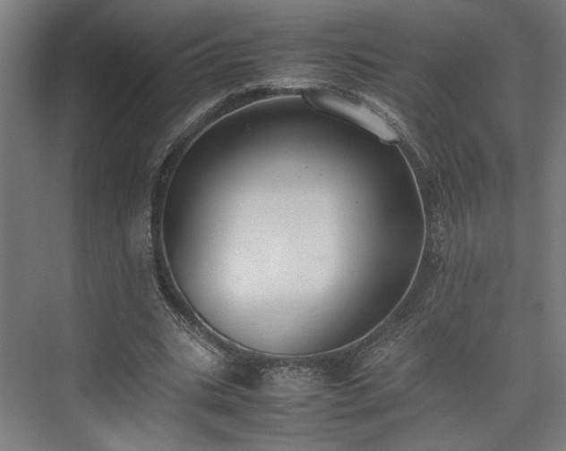 X0000074970535200609081414