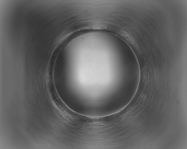 X0000074970536200609081414