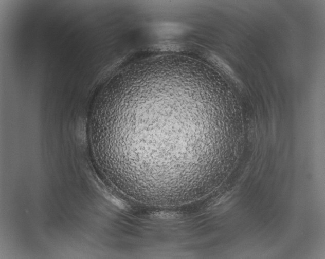 X0000074970537200609081414