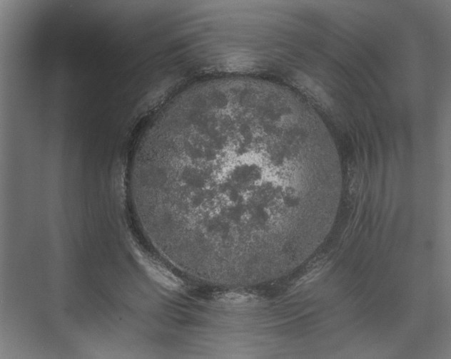 X0000074970542200609081414