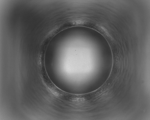 X0000074970543200609081414