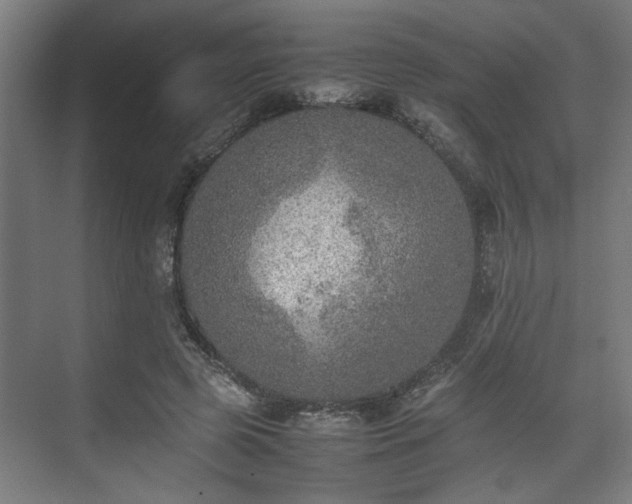 X0000074970545200609081414