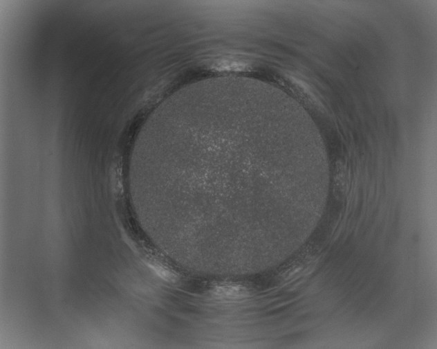 X0000074970547200609081414