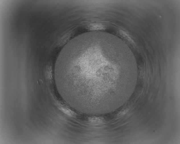 X0000074970549200609081414