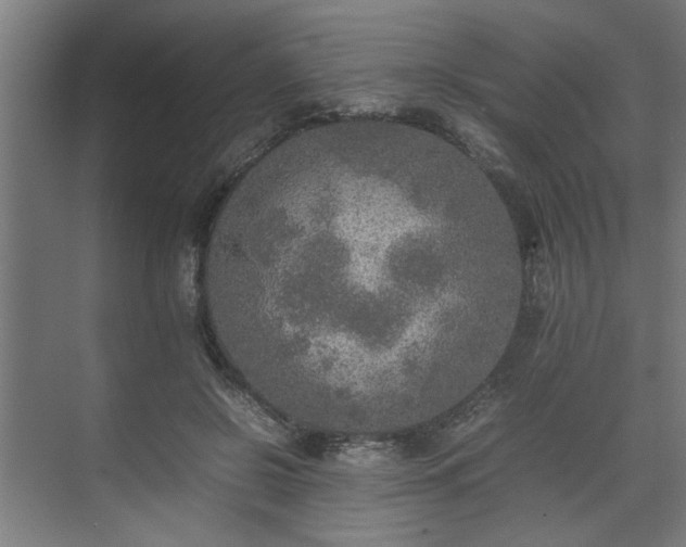 X0000074970550200609081414