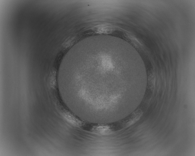 X0000074970554200609081414