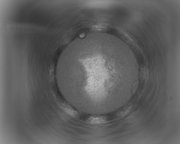 X0000074970557200609081414