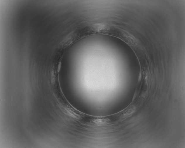 X0000074970558200609081414