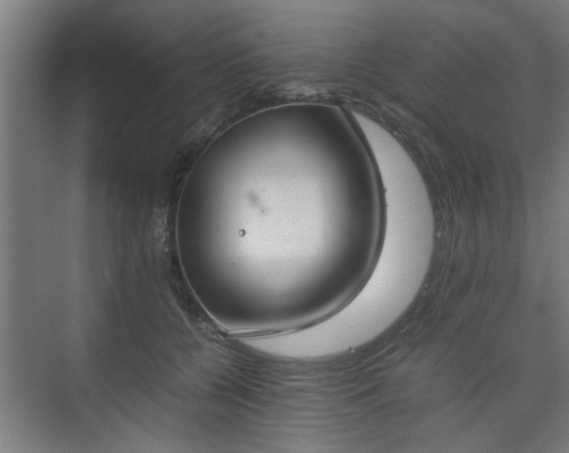 X0000074970560200609081414