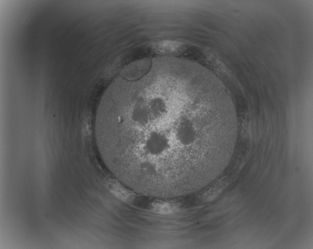 X0000074970561200609081414