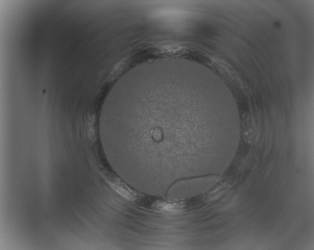 X0000074970563200609081414