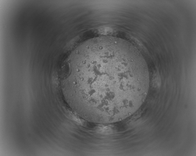 X0000074970569200609081414