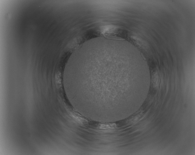 X0000074970571200609081414