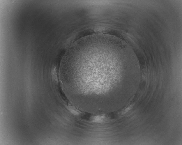 X0000074970575200609081414