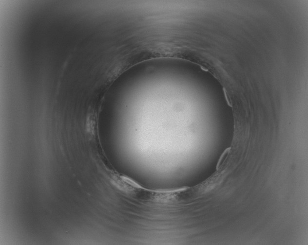 X0000074970576200609081414