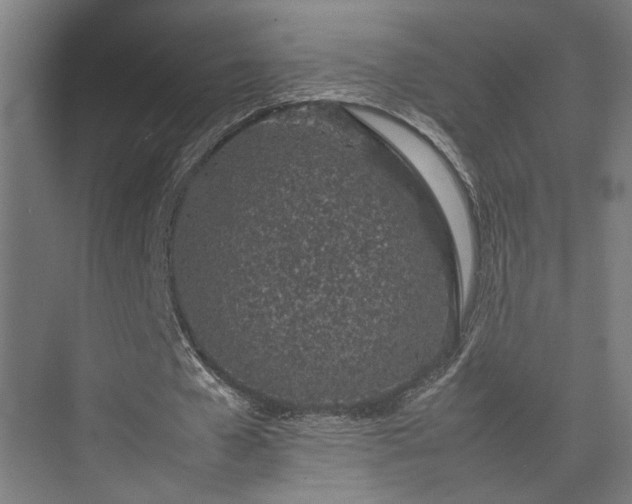 X0000074970577200609081414