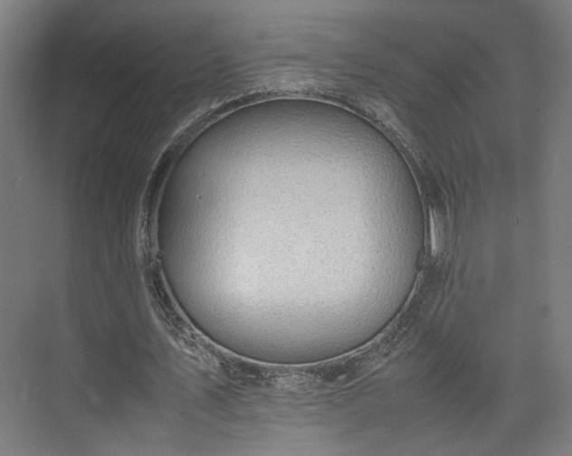 X0000074970579200609081414