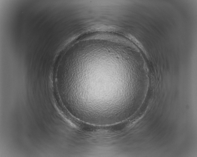 X0000074970581200609081414