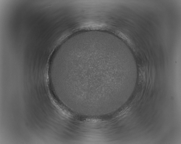 X0000074970582200609081414